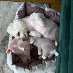 sarah-kohn-fachfusspflegerin-kosmetikerin Sunny